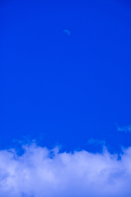 d0019422_1082334.gif