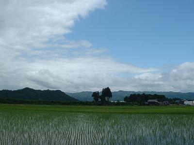 新潟県南魚沼市は初夏の爽やかな一日でした_d0015124_15563517.jpg