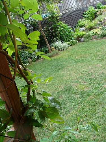 f0170524_16125347.jpg