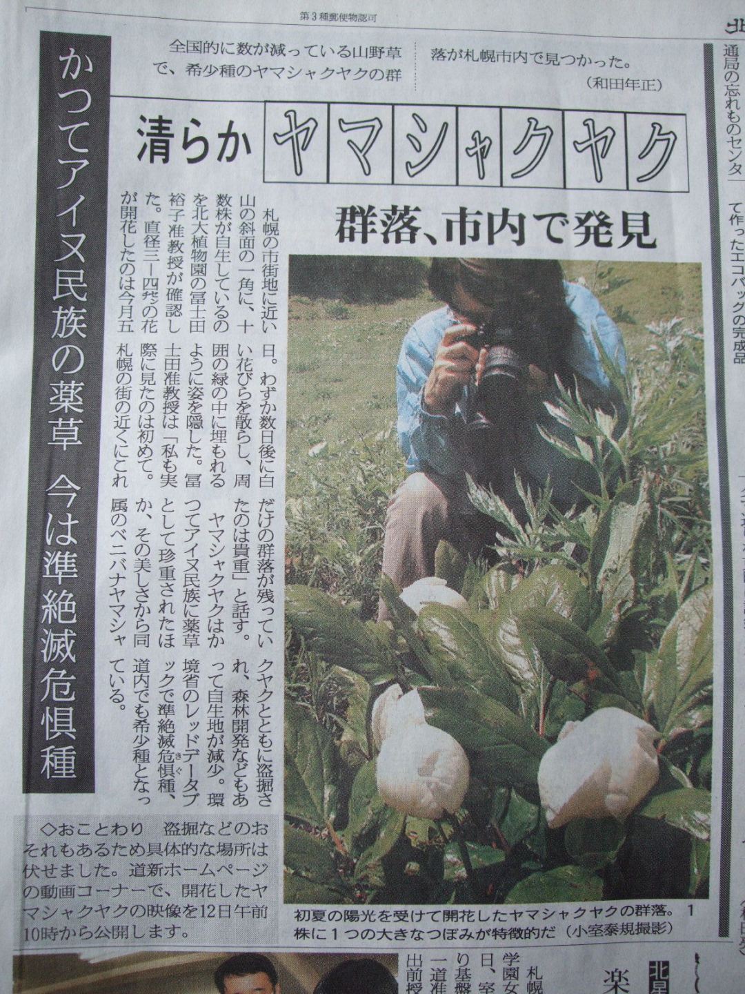 659)　登山とベニ（バナ）ヤマシャクヤク_f0126829_1554633.jpg