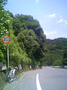 自転車で墓参り_b0032437_17204280.jpg