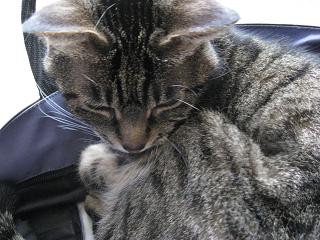 e0113040_2115872.jpg