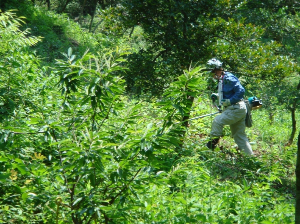 c0108460_20241328.jpg