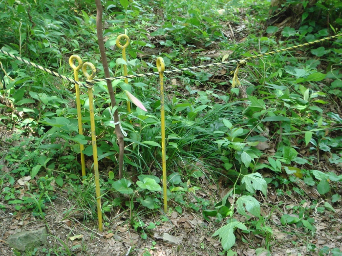 c0108460_20403695.jpg