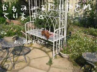 a0091865_2223026.jpg