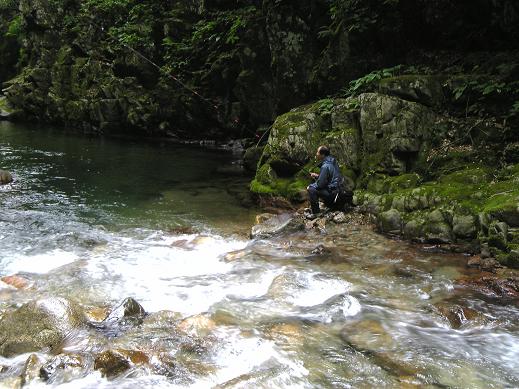 2008.6.14 渓流に遊ぶ　岩魚６　山女１_e0108765_1985563.jpg