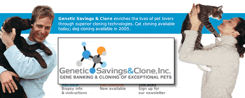 Cat-cloning company to close its doors _f0076775_835074.gif