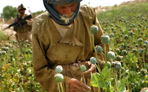 タリバン大胆不敵!アフガン監獄を襲撃、囚人千名大脱走!_d0123476_2281733.jpg