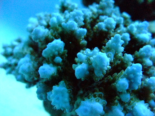 c0073387_20453311.jpg