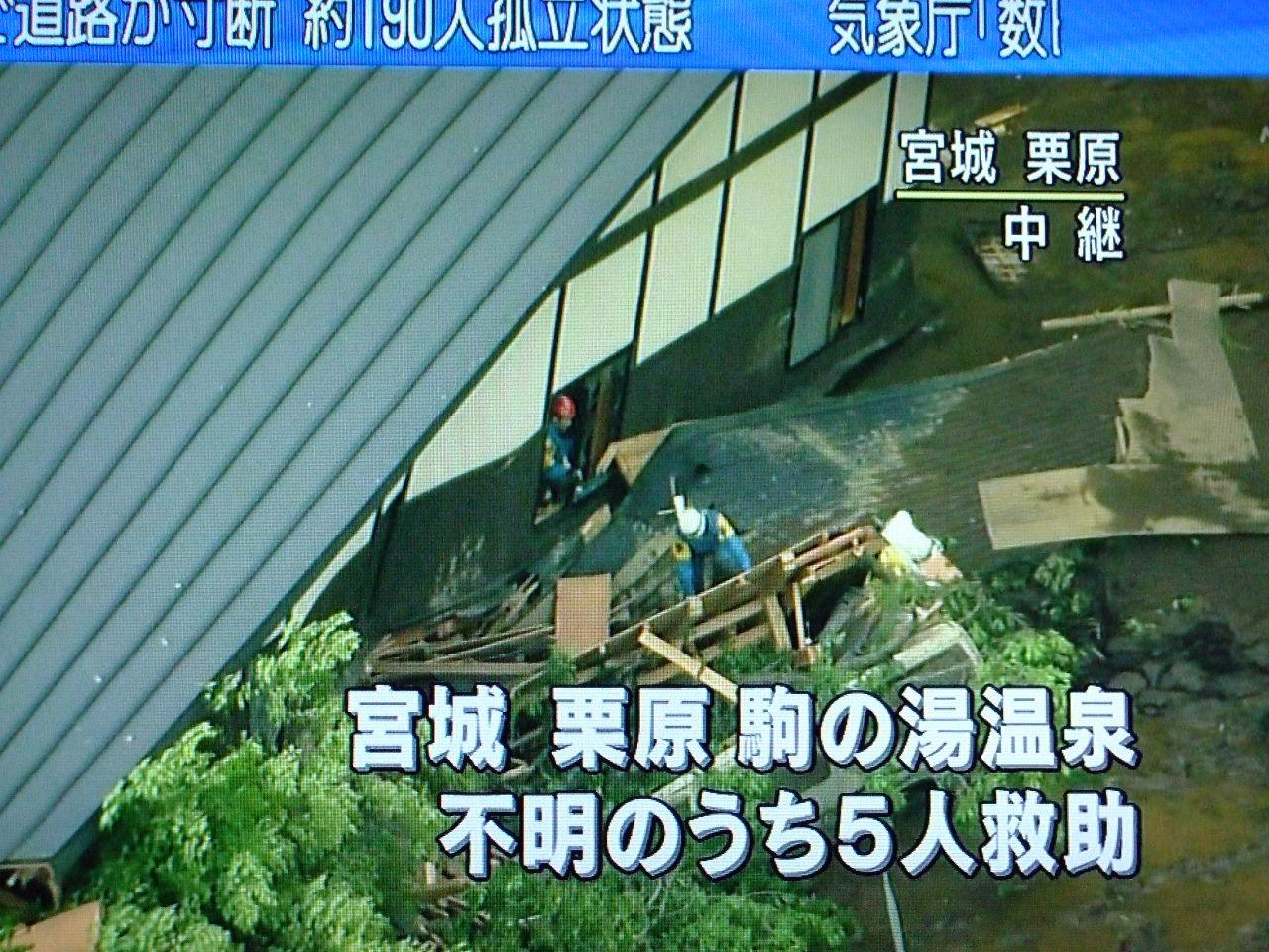 岩手 宮城内陸地震 ペンギンの足跡