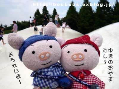 初夏の昭和記念公園_d0128697_2121161.jpg