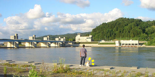 f0164499_22441321.jpg
