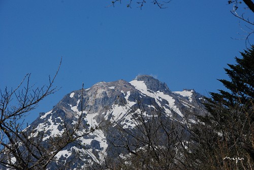 d0064000_19335.jpg