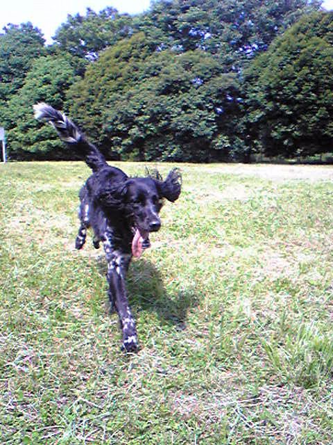f0109202_9264335.jpg