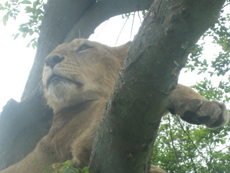 a0058005_21552115.jpg