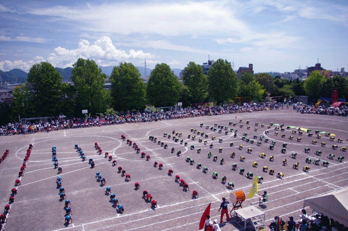 d0006718_7593580.gif