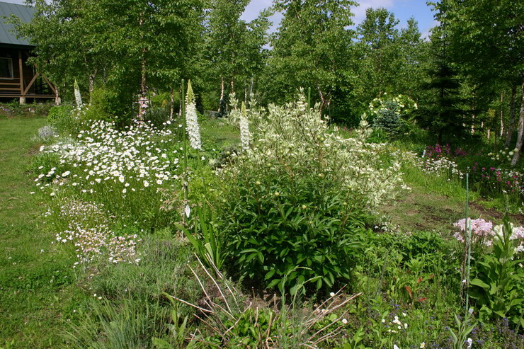 d0143719_13481687.jpg