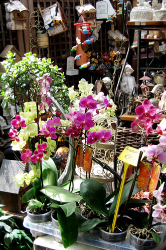 c0069026_4104427.jpg