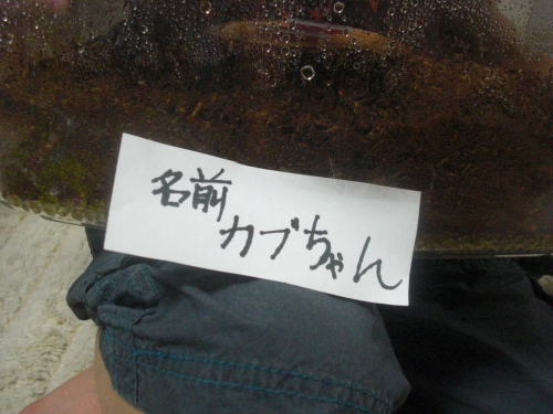 f0065126_043381.jpg