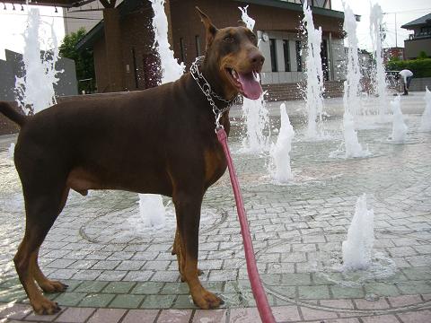 f0129731_0325643.jpg