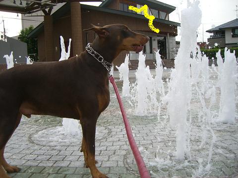 f0129731_051124.jpg