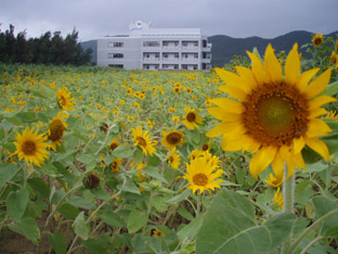 e0041337_13241275.jpg