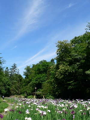 f0029038_2232513.jpg