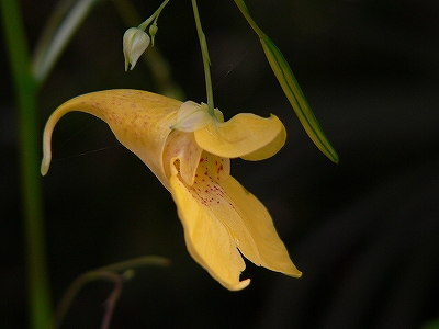 f0029038_22333734.jpg