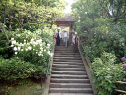 c0060546_21551.jpg