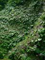 c0060546_22752.jpg