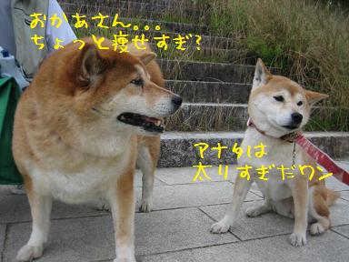 2週連続・・・残念!_c0049950_20494561.jpg