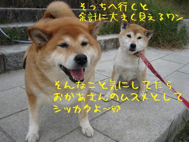 2週連続・・・残念!_c0049950_20504329.jpg