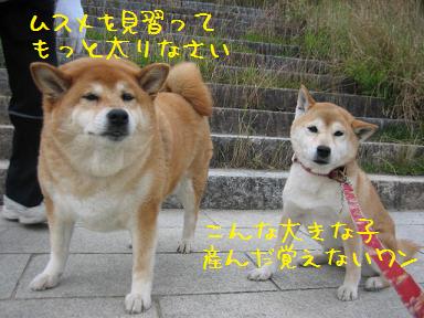 2週連続・・・残念!_c0049950_2132049.jpg