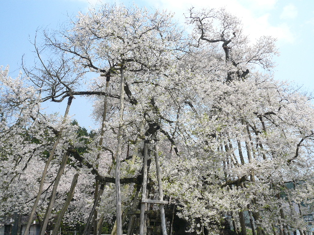 連休の旅は山形へ　その１_c0110550_23295999.jpg