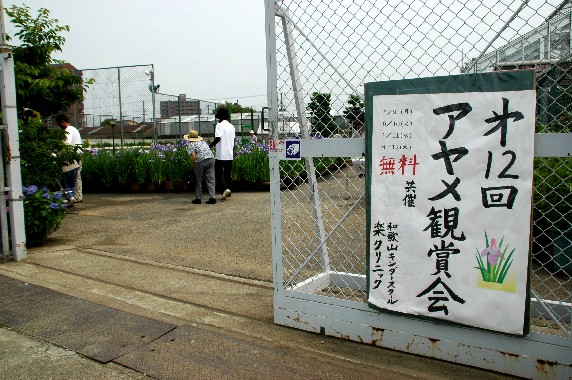 　　花のある風景_b0093754_044454.jpg