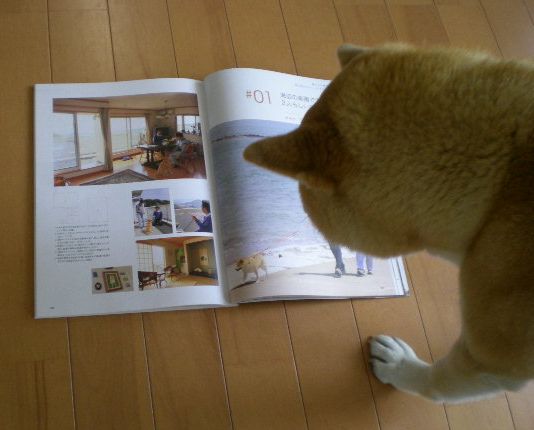 6月15日(日)房総ライフに載りました~!_f0060461_2254415.jpg