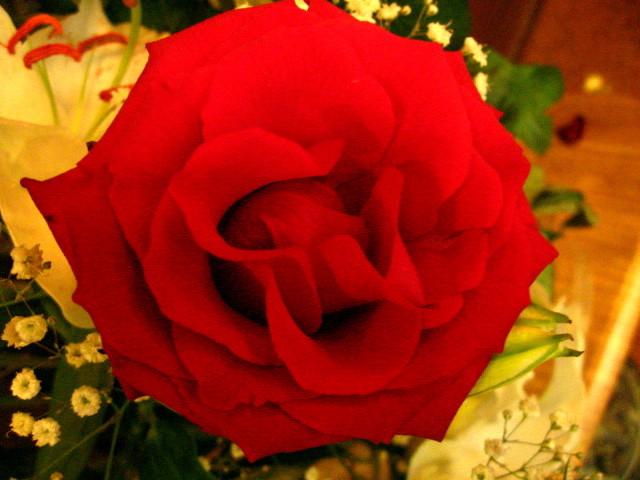 e0139165_353040.jpg