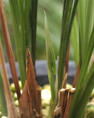 c0068168_1255764.jpg