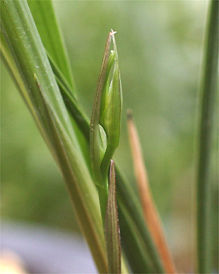 c0068168_1264495.jpg