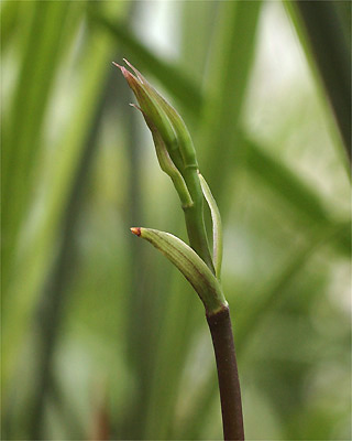 c0068168_1265652.jpg