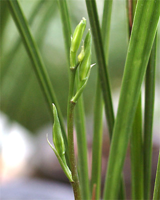 c0068168_126997.jpg