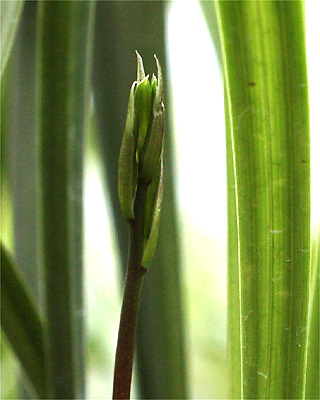 c0068168_127133.jpg