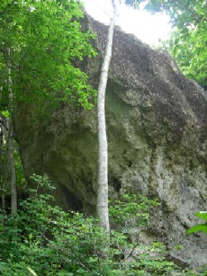 参考掲載　山形県米沢市立石：立石_f0125073_16162540.jpg