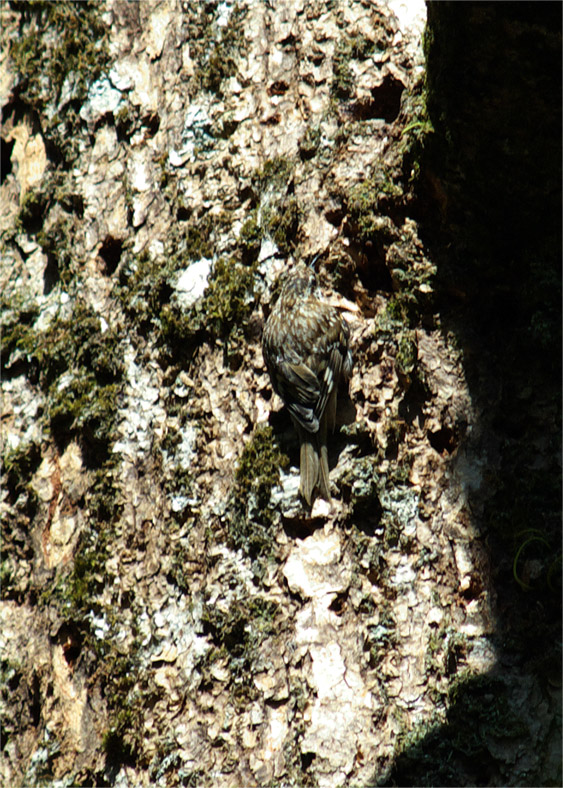 c0096278_17575352.jpg