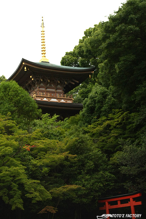 一周忌_a0034287_2063686.jpg
