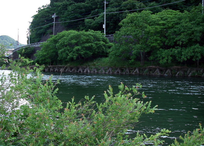 朝の渡良瀬と夕方の神流。_c0095801_19253291.jpg