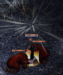 f0019203_2330599.gif