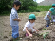 Field trip to our vegetable garden: June 5, 2008_b0137410_023816.jpg