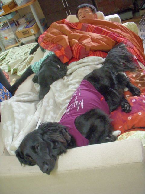 c0017311_84917.jpg