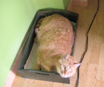 e0115312_3593670.jpg